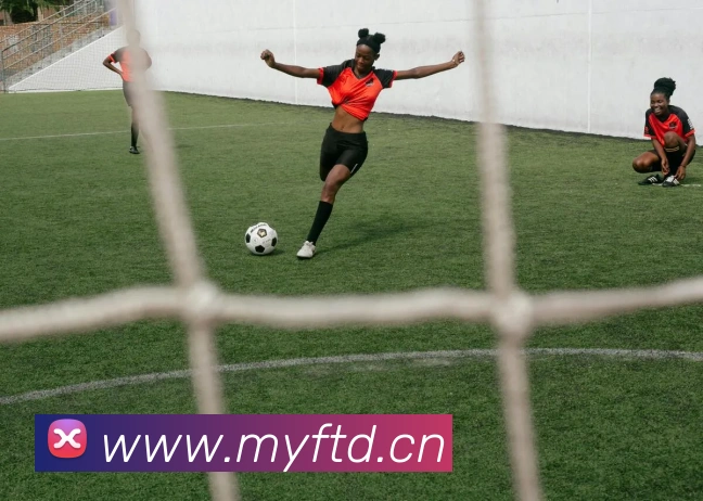 多媒体互动体验